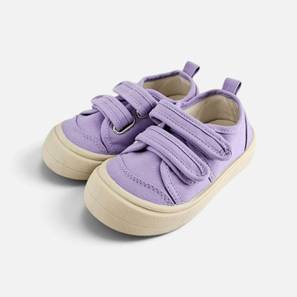 Vera Purple